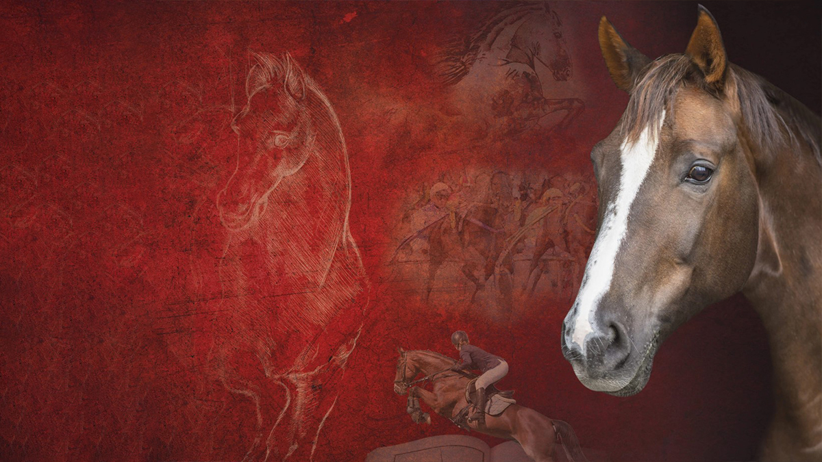 Cheval Passion 1200x675