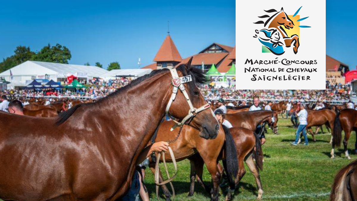 Bild Marche Concours 2025