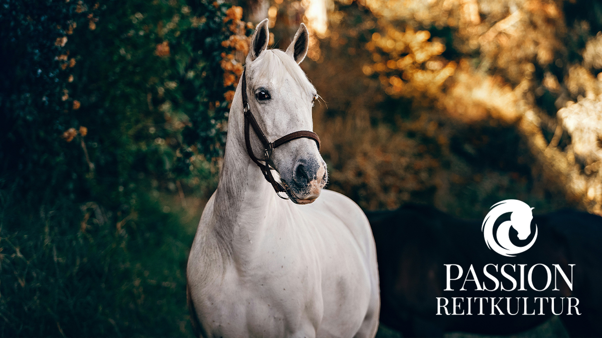 Bild Passion Reitkultur 2025 mit Logo