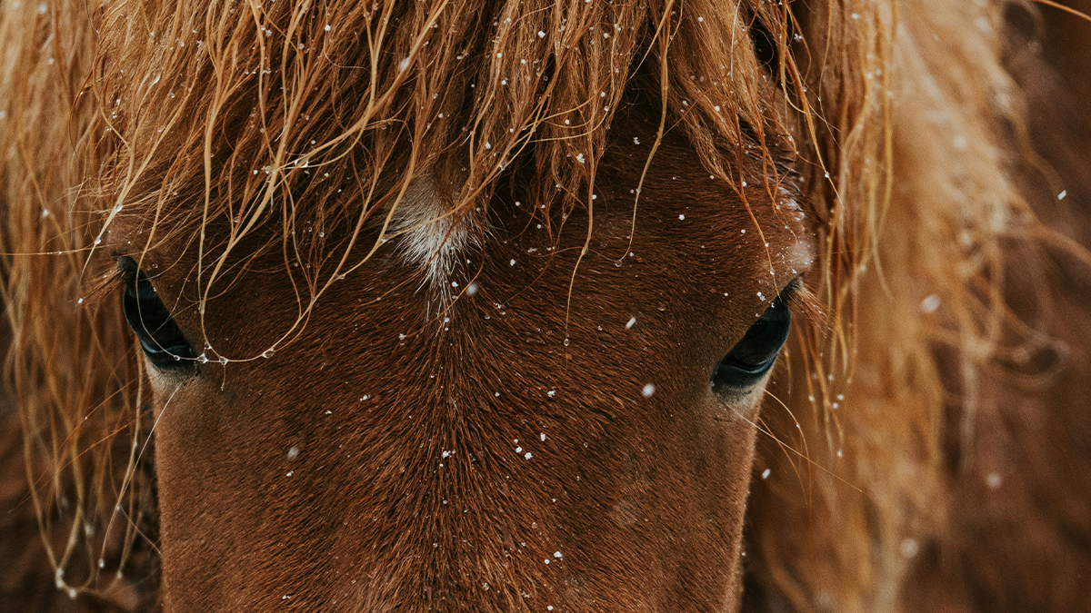 Bild Abholstandorte Secco 70l