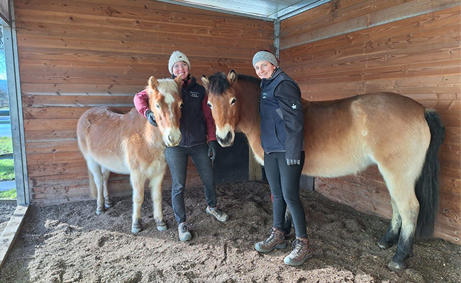 260217 Foto Referenz IENA 650x400px