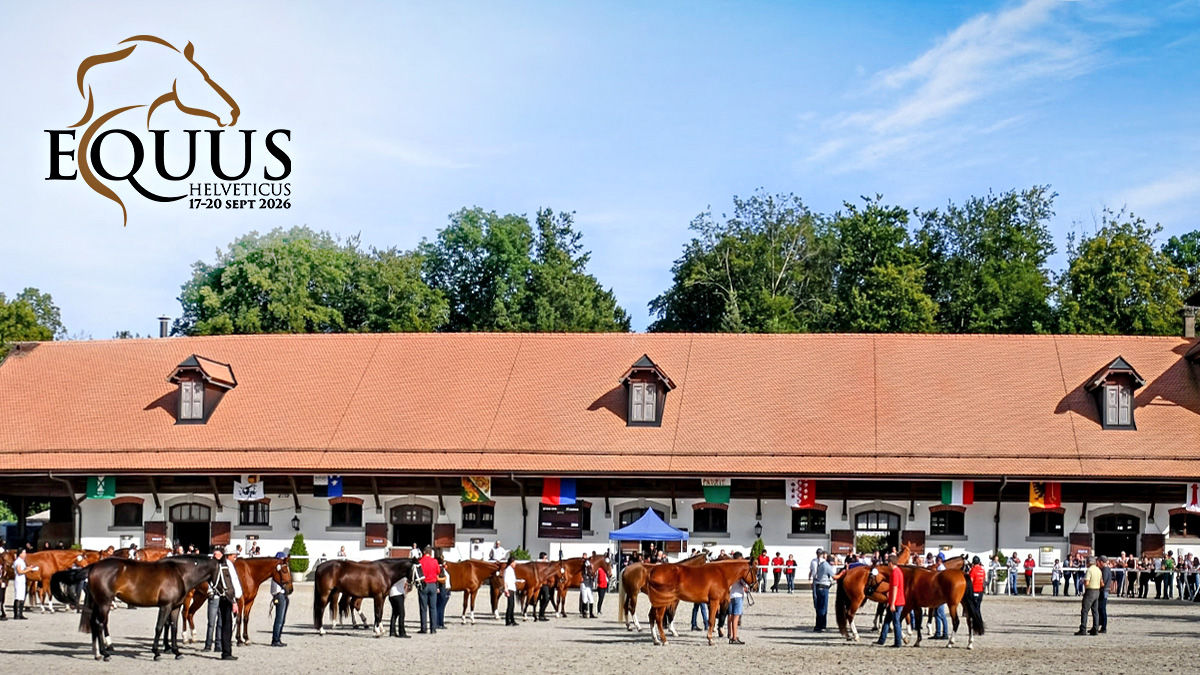 Bild Equus Helveticus 2026